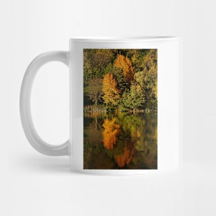 Autumn on the lake with reflection Mug